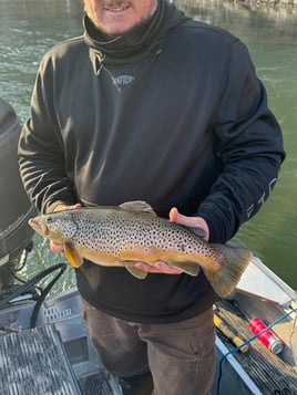 Salmon & Steelhead Fishing Trip