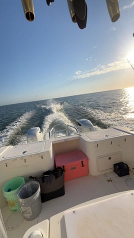 4-8 Hour Offshore
