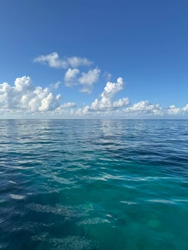 Boating Adventure
