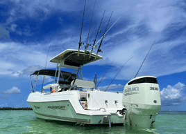 4 Hour Trip – Reef Fishing