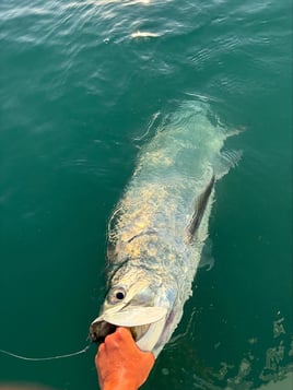 Inshore/Nearshore Fishing