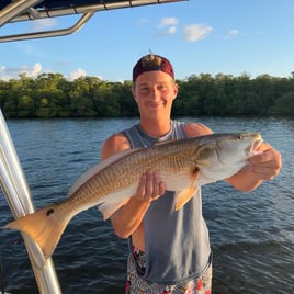 Inshore/Nearshore Fishing