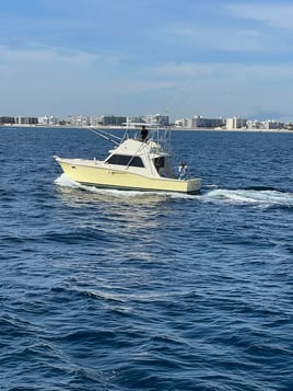 4-8 Hour Trip – Offshore