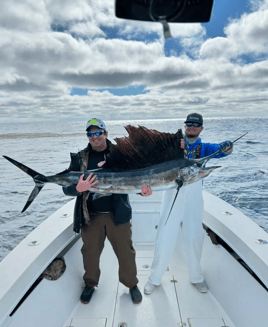4-8 Hours Offshore Trip