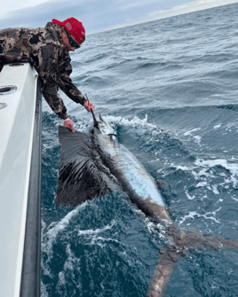 4-8 Hours Offshore Trip