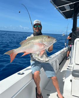 4-8 Hours Offshore Trip