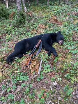 Bear Hunt