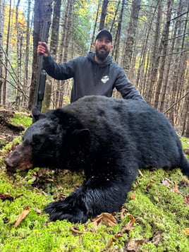 Bear Hunt