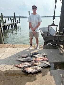 8 Hour Bay Trip
