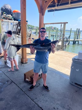 8 Hour Bay Trip
