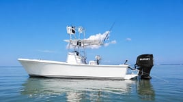 8 Hour Bay Trip