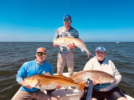 8 Hour Bay Trip