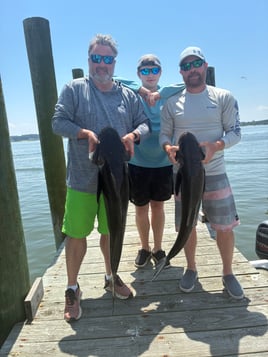 8 Hour Bay Trip