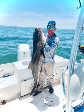 8 Hour Bay Trip