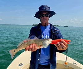 Tampa Bay Fishing Fun
