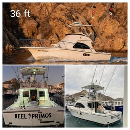 Offshore Fishing Trip - 36 Ft