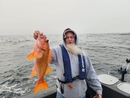 8 Hour Trip – Rockfishing