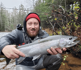 Brule River Trout