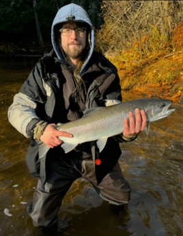 Brule River Trout