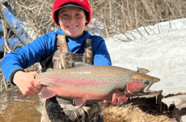Brule River Trout