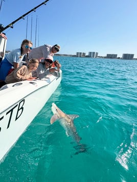 Destin Shark Fishing Trip🦈