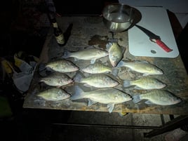 Half Day Or Full Day Fishing Trip