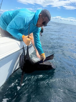 Sportfishing In Guanacaste 