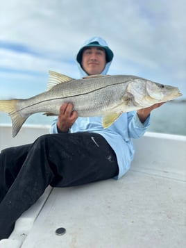 3-6 Hr Inshore / Port 
