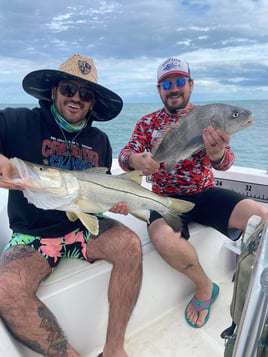 3-6 Hr Inshore / Port 