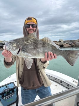 3-6 Hr Inshore / Port 