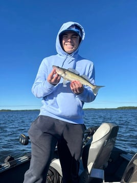 4-8 Hour Inshore Fishing Trip 