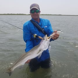 Speckled Trout Fishing in Aransas Pass, Texas