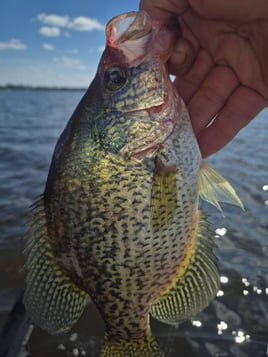 Wisconsin Freshwater Fishing