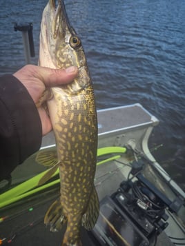Wisconsin Freshwater Fishing