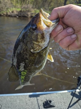 Wisconsin Freshwater Fishing