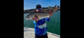 Eastern FL Inshore/Nearshore