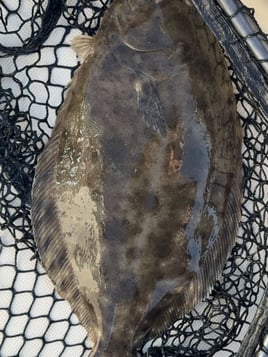 Eastern FL Inshore/Nearshore
