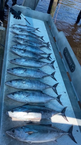 4 Hour Nearshore