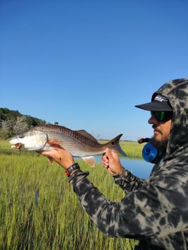 Flood Tide Sight Fishing 