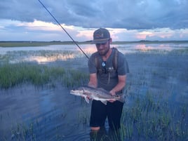 Flood Tide Sight Fishing 