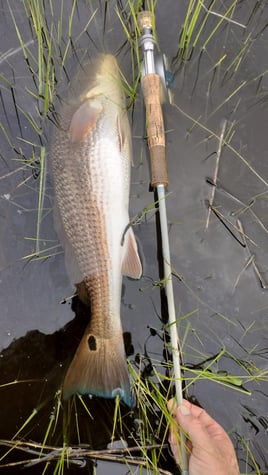 Flood Tide Sight Fishing 