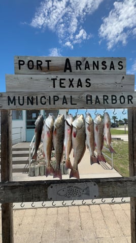 4 Hour Fishing Trip AM