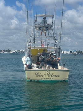 In Search Of Seamonsters!