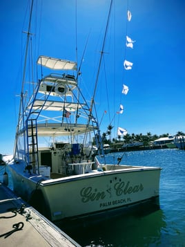 In Search Of Seamonsters!