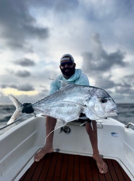 Tarpons In Recife, Brazil