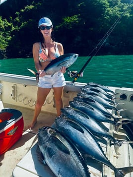 Offshore Fishing Adventure