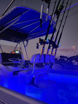 5 Offshore Fishing Adventure