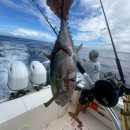 Offshore Fishing Adventure