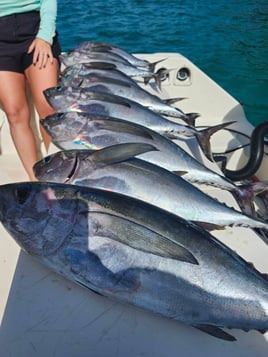 Offshore Fishing Adventure