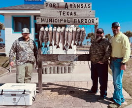 Afternoon Bay Fishing